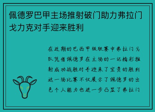 佩德罗巴甲主场推射破门助力弗拉门戈力克对手迎来胜利 佩德罗巴甲主场推射破门助力弗拉门戈力克对手迎来胜利