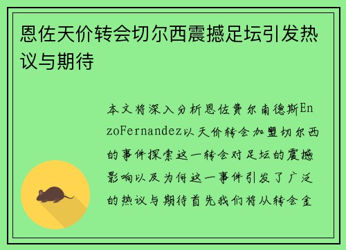 恩佐天价转会切尔西震撼足坛引发热议与期待
